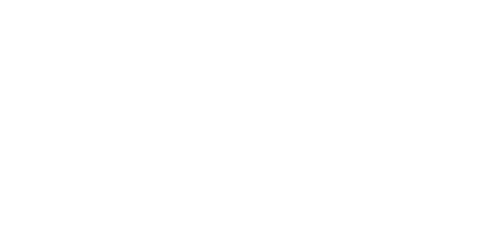 chasing brains